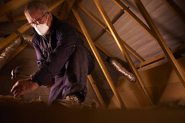 Best Crawl Space Insulation  in Milford, PA